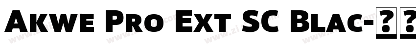 Akwe Pro Ext SC Blac字体转换